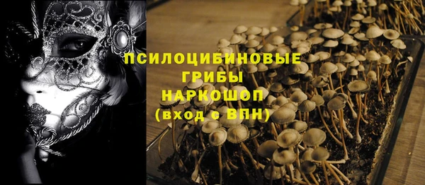 ECSTASY Краснотурьинск