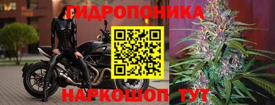 стафф Краснодар