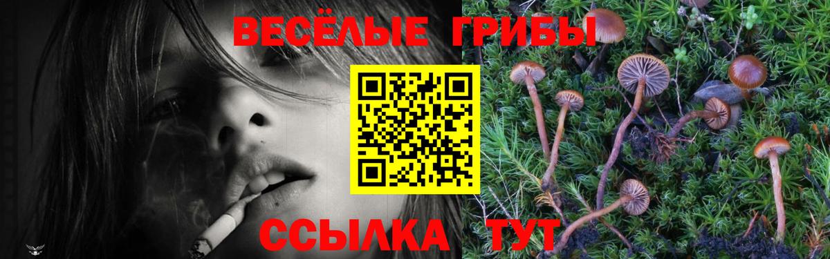 Галлюциногенные грибы мухоморы Лосино-Петровский