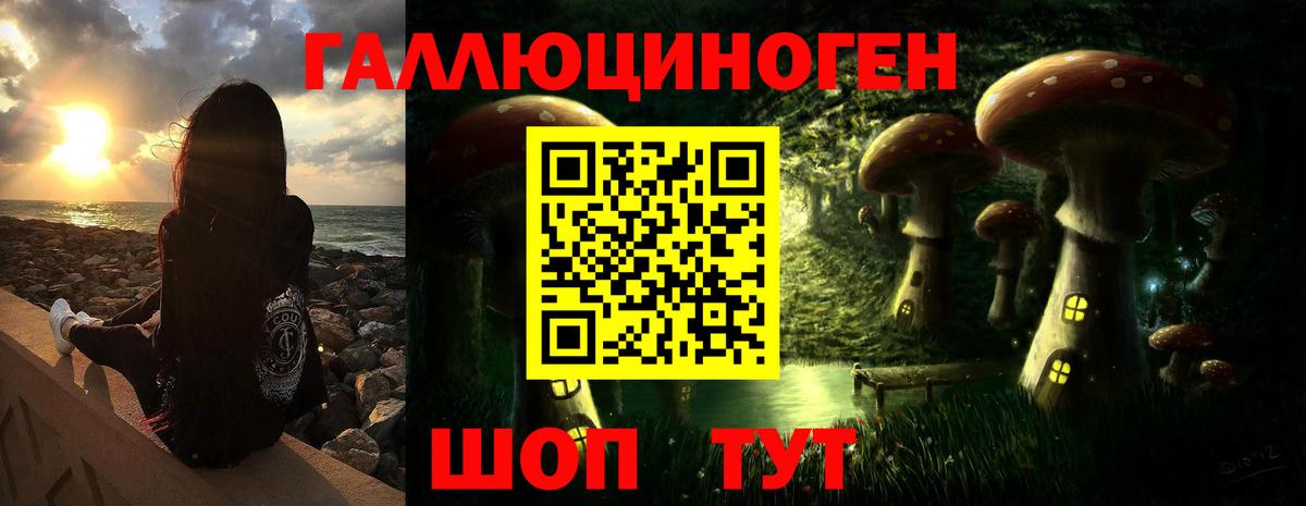 Псилоцибиновые грибы Cubensis Лосино-Петровский