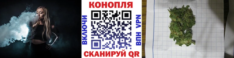 Бошки Шишки ГИДРОПОН mega ссылка Лосино-Петровский цена наркотик